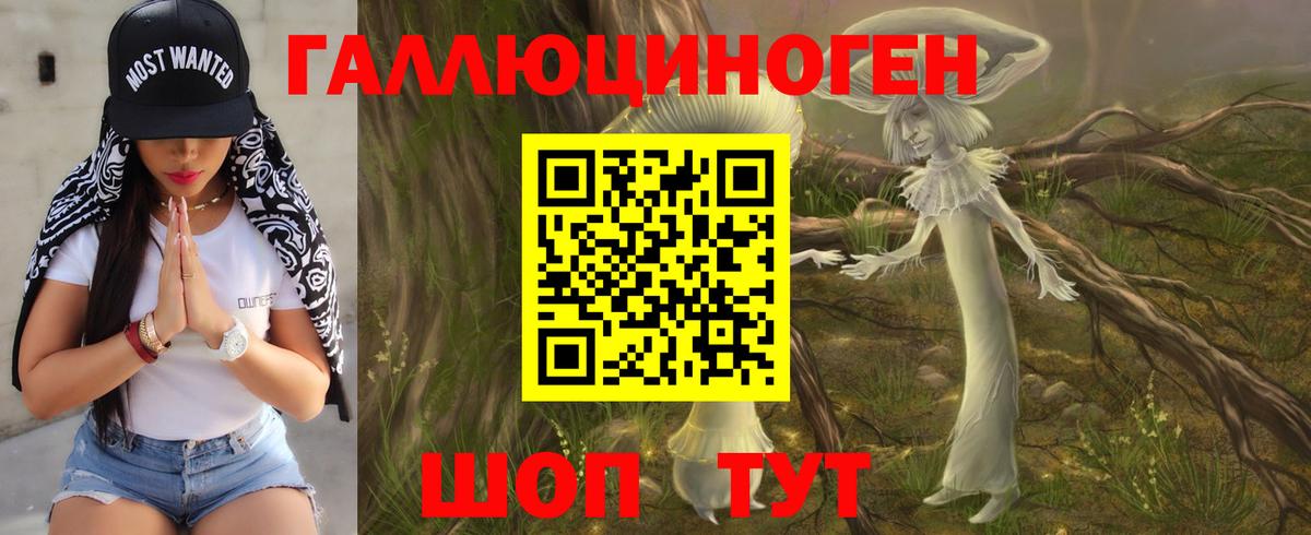 Псилоцибиновые грибы Psilocybe  Псилоцибиновые грибы GOLDEN TEACHER  Вход с VPN  Астрахань 