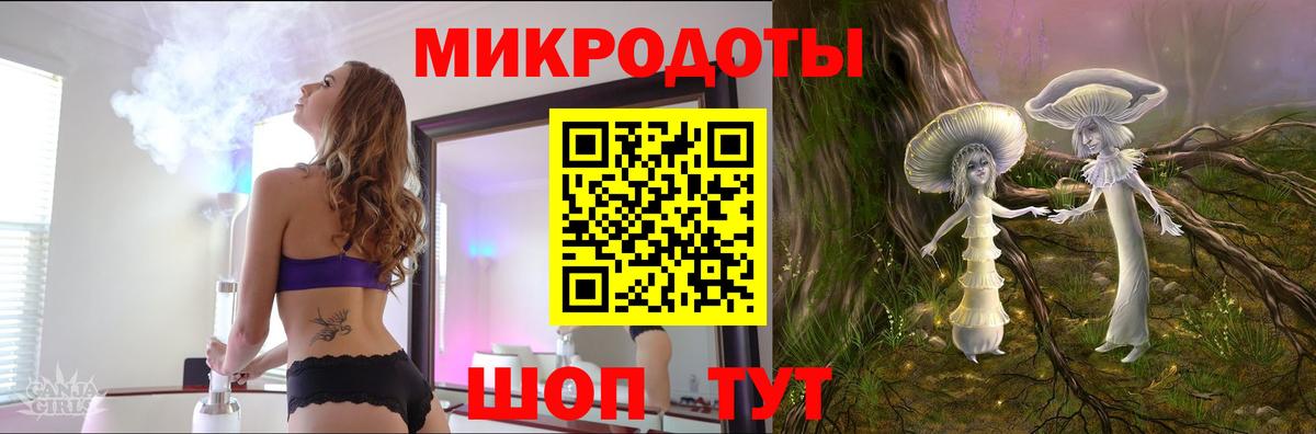 Псилоцибиновые грибы Psilocybe Астрахань